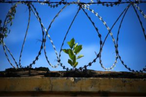 yoga in carcere